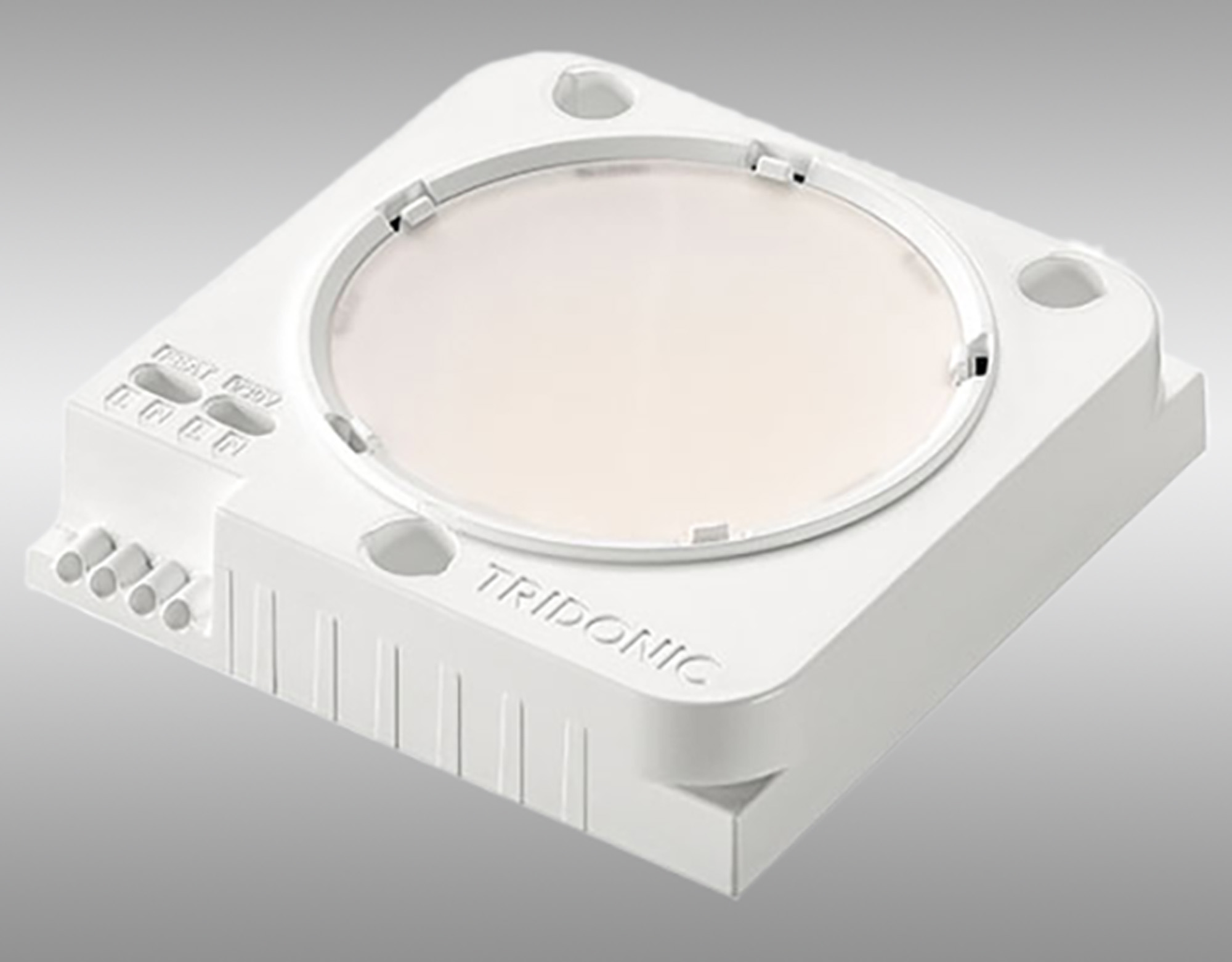 TW LED Lamps Tridonic Linear TW LED Lamps Tridonic Linear